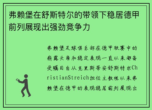 弗赖堡在舒斯特尔的带领下稳居德甲前列展现出强劲竞争力